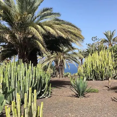 Marazul Sunset Costa Adeje (Tenerife)
